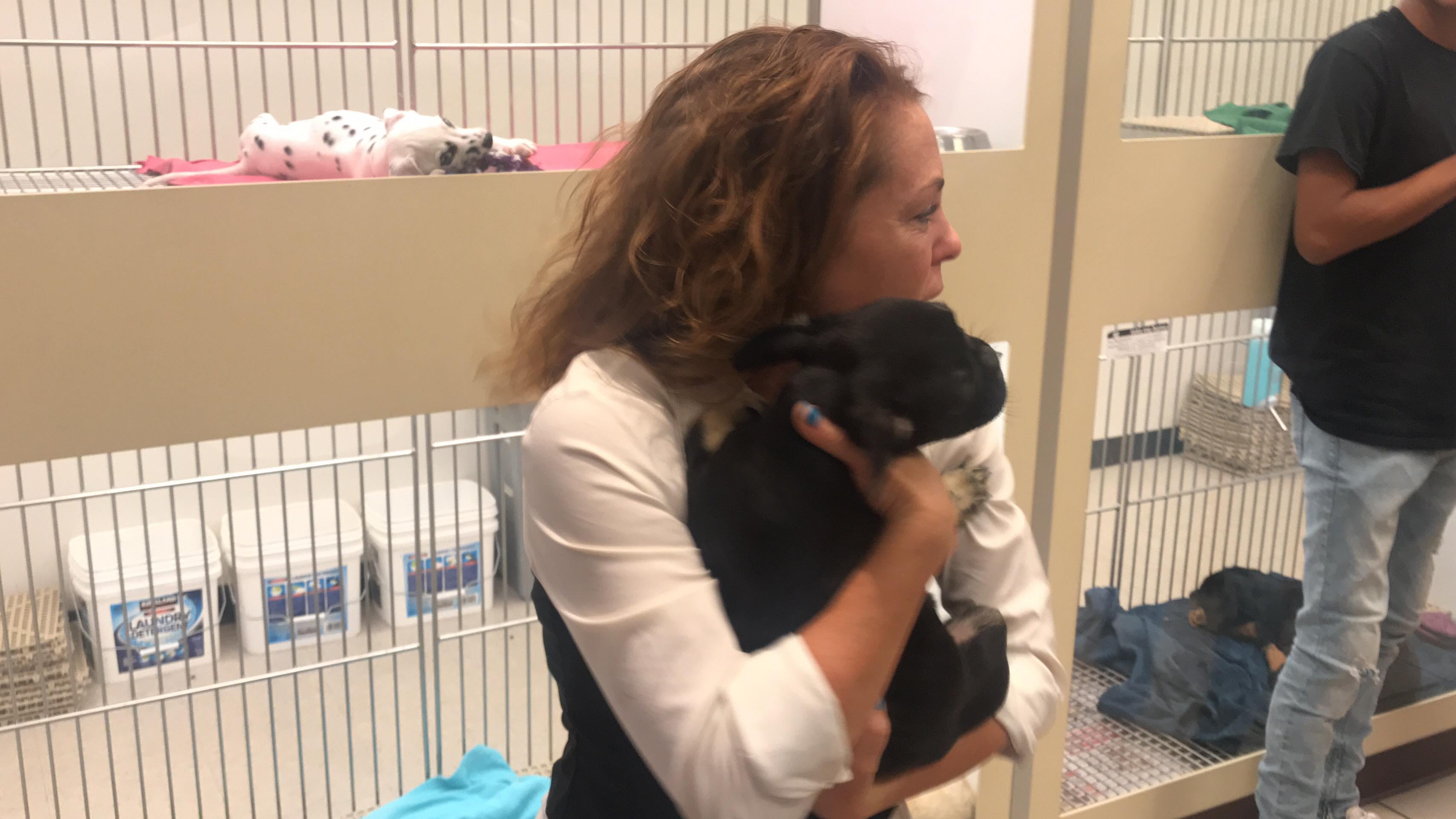 Arrowhead mall dog store cheap