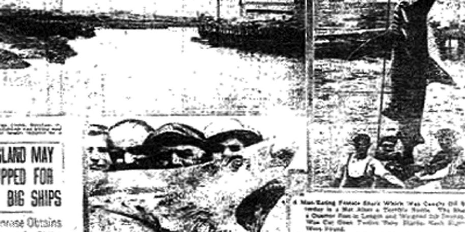 Weird NJ The Matawan ManEater