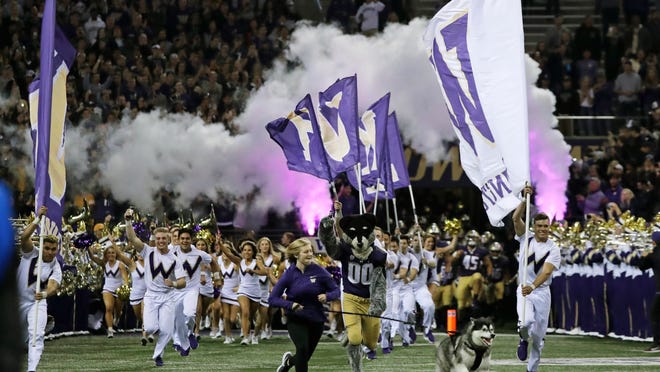 Dubs II, the Washington Huskies live mascot, leads the team out of the tunnel for an NCAA college football game against Arizona State, Saturday, Sept. 22, 2018, in Seattle. (AP Photo/Ted S. Warren)