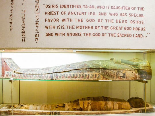 “Lady Ta’an,” the daughter of an Egyptian priest dating back to the period between 300 B.C. and 30 B.C., is on display in the Joseph Moore Museum at Earlham College.