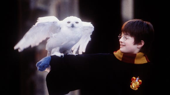 Hedwig, the owl and Daniel Radcliffe in a scene from the movie "Harry Potter and the Wizard Stone".