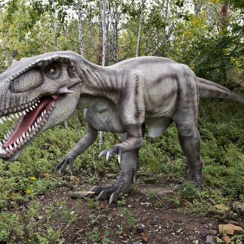 A fierce-looking animatronic Dryptosaurus stands w