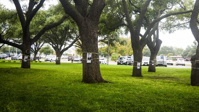 The Memorial Oak Grove at Angelo State University commemorates Twenty-nine live oak trees are planted there commemorating the former San Angelo College students who died in World War II.