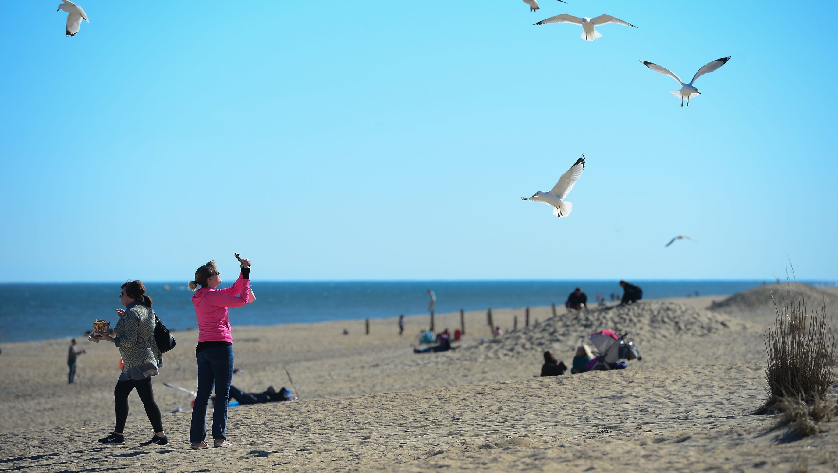 Delaware Beaches Transform Into Year Round Destination