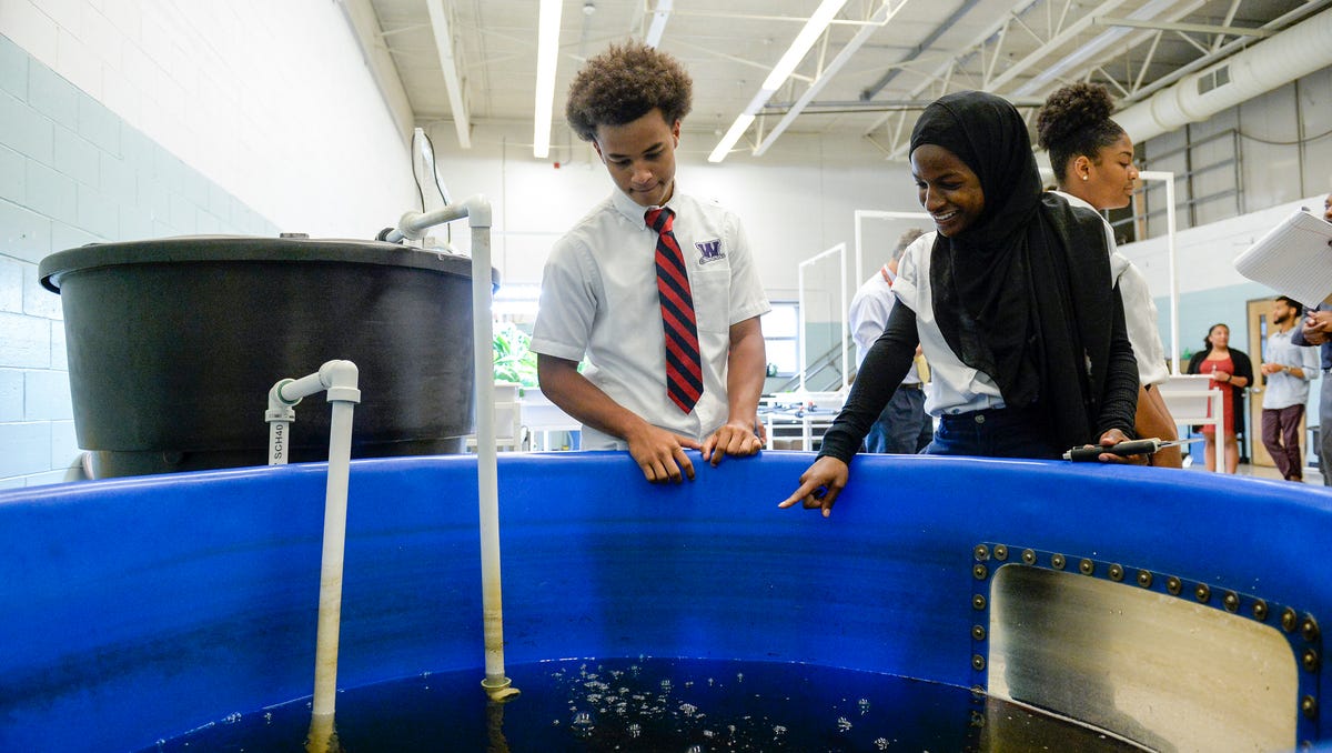 Willingboro High School Aquaponics Program Grows Plants Raises Fish