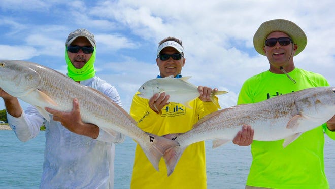 A pair of redfish (left and right) beats a jack crevalle (center) for this trip of anglers fishing the Sebastian Inlet area recently with Capt. Glyn Austin.