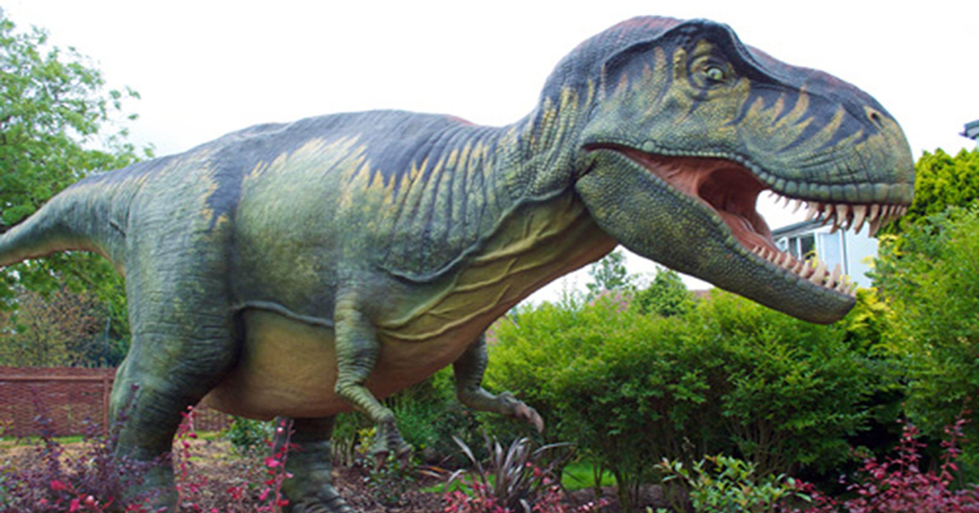Dinos come to life at naples botanical garden