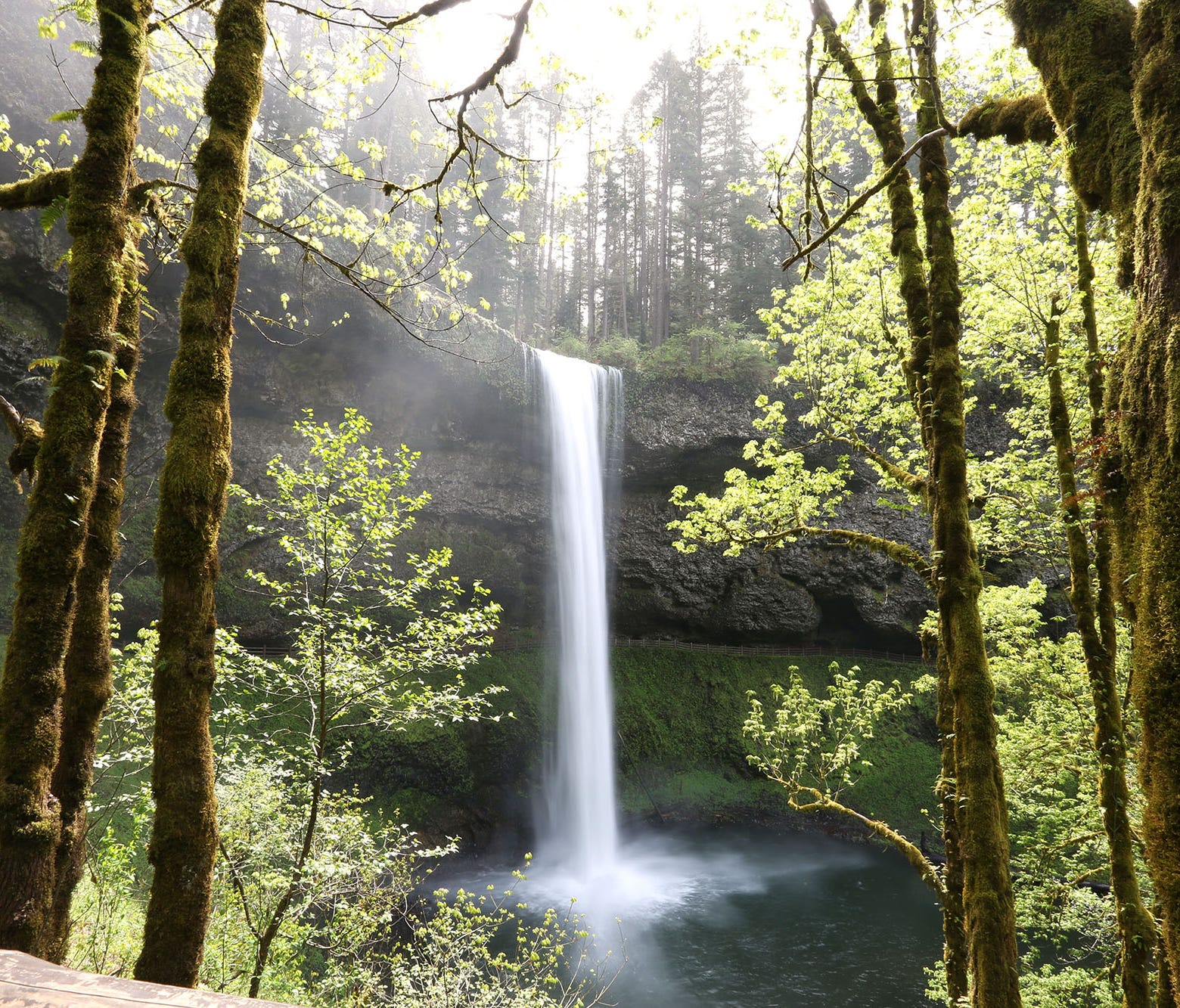 The South Falls at Silver Falls State Park in Silverton, Ore., on April 26, 2016.