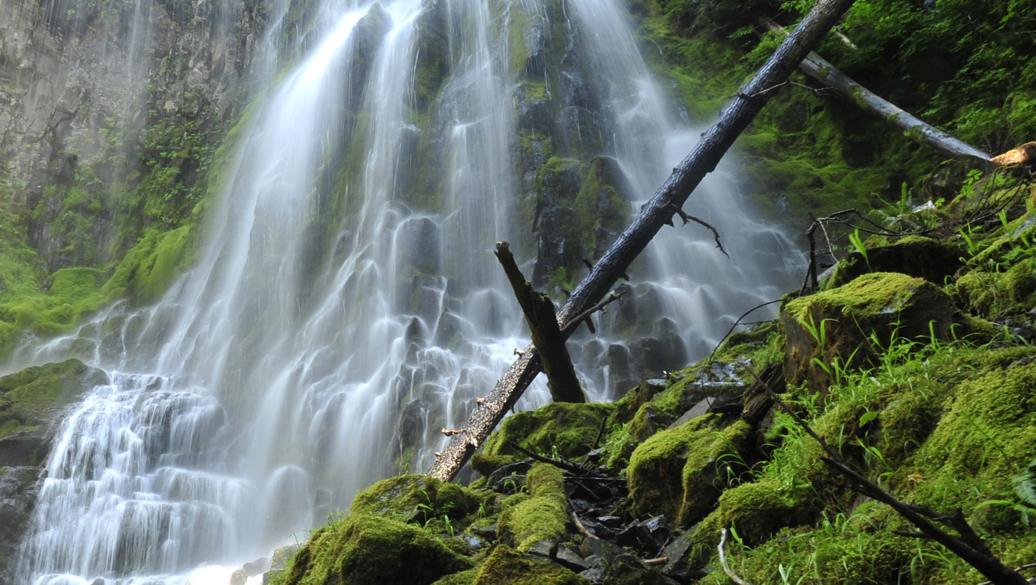 The 9 Best Hikes On Mckenzie Pass Feature Oregon S Most Dramatic Views
