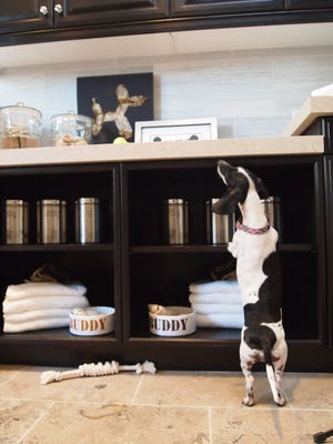 This image provided by A.G. Photography shows a Standard Pacific Home’s interior view of a dog-friendly home. Standard Pacific Homes is building and selling 27 new home communities from Florida to California and billing them as the first to offer pet suites as an option in every one. The homes could feature automated feeders, and cabinets for toys, treats and food.