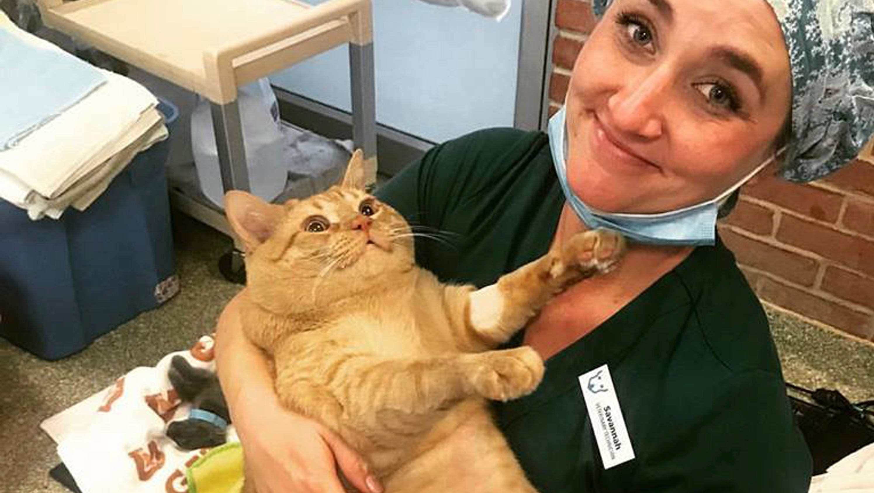 Fat Cat Symba Finds New Family After Photos Go Viral