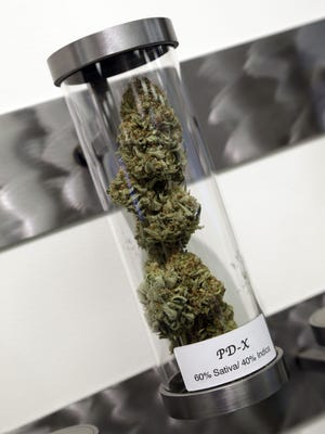 A sample of medical marijuana is displayed at Shango Premium Cannabis dispensary in Portland, Ore., Wednesday, Nov. 5, 2014.
