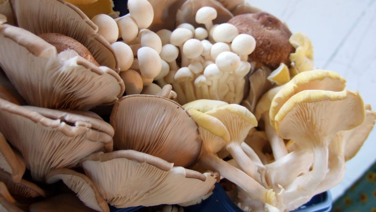 7 restaurant lies you might not know about