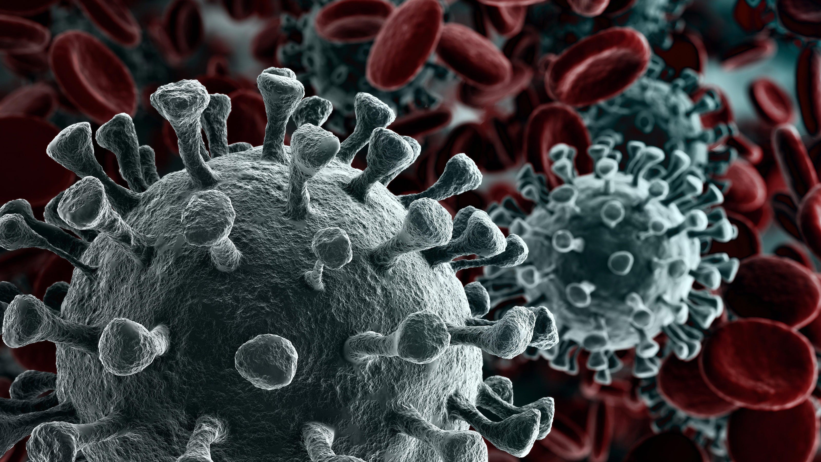 New reported COVID-19 cases, hospitalizations up in Iowa’s weekly coronavirus update – Des Moines Register New reported COVID-19 cases, hospitalizations up in Iowa’s weekly coronavirus update – Des Moines Register