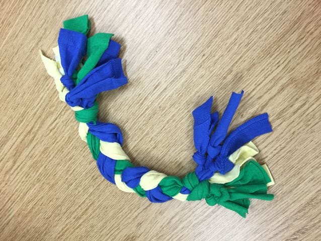 Celebrate the dog days of summer by making your fur friend a dog toy!
