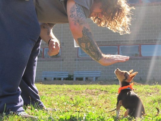 Inmates work as 'puppy sitters' in dog training program