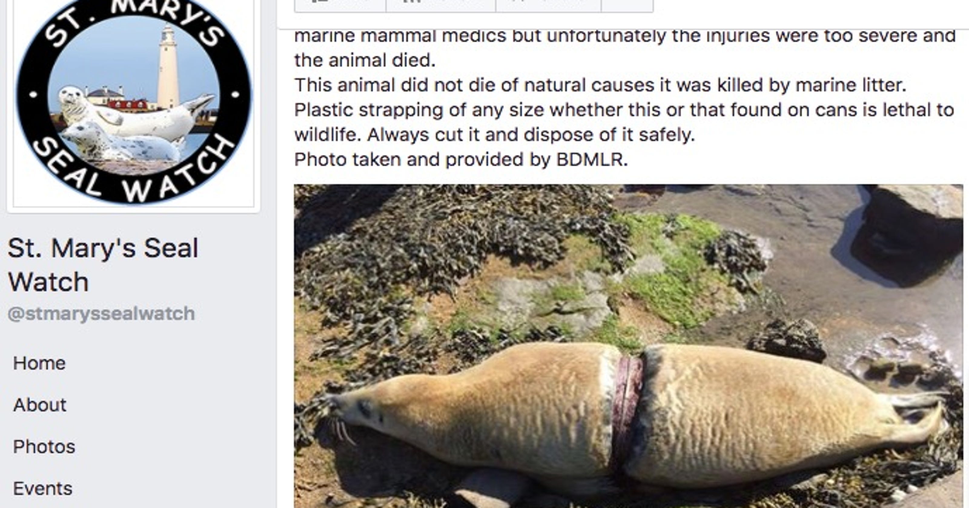 Horrific photo shows what littering can do to animals