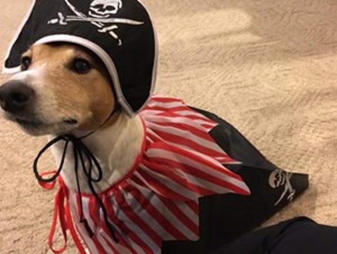 Ratchet Redding: Ahoy, me hearties.