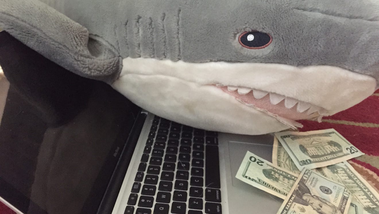 Cyber-shark sightings hit the digital world this summer