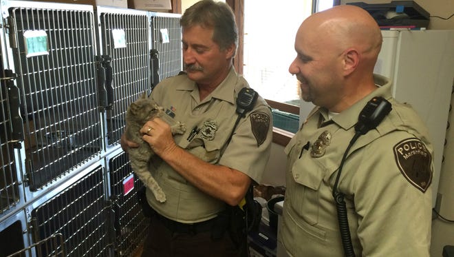 Marshfield Police Department officer Dan Leonard, left, holds Nala, a stray cat admitted to the Marshfield Area Pet Shelter. Leonard is joined by officer Bob Larsen, right.