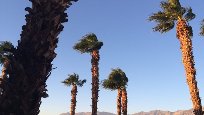 The Coachella Valley can expect winds in the high 30 mph to low 40 mph range much of Monday morning, according to the National Weather Service.