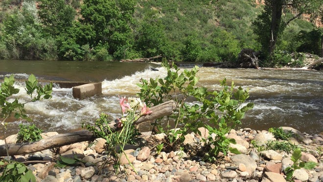A small memorial sits on the shore of the Poudre River on June 19, 2017, near a low-head dam two teens went over while tubing the day prior. One of the teens died.