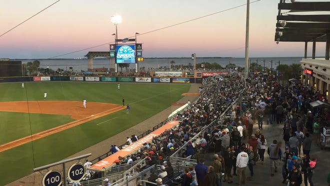 In reaching the playoffs, it enabled the Blue Wahoos to continue their franchise attendance streak of at least 300,000 fans in each of their six seasons.