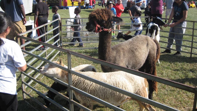 The petting zoo is a popular location for people of all ages at North Brunswick's annual Heritage Day.