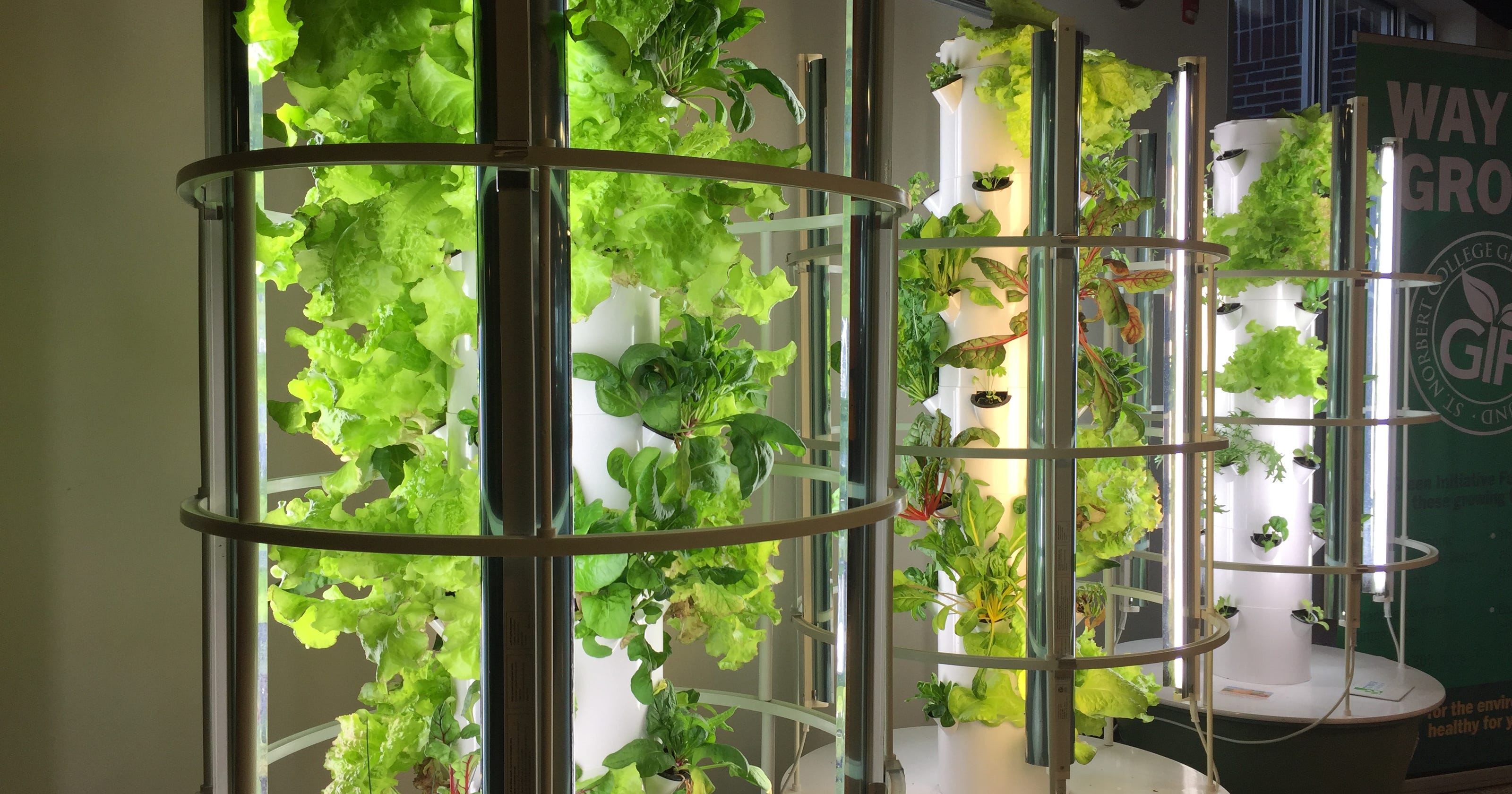 Live 54218: Greater Green Bay schools spur indoor growing operations Live 54218: Greater Green Bay schools spur indoor growing operations