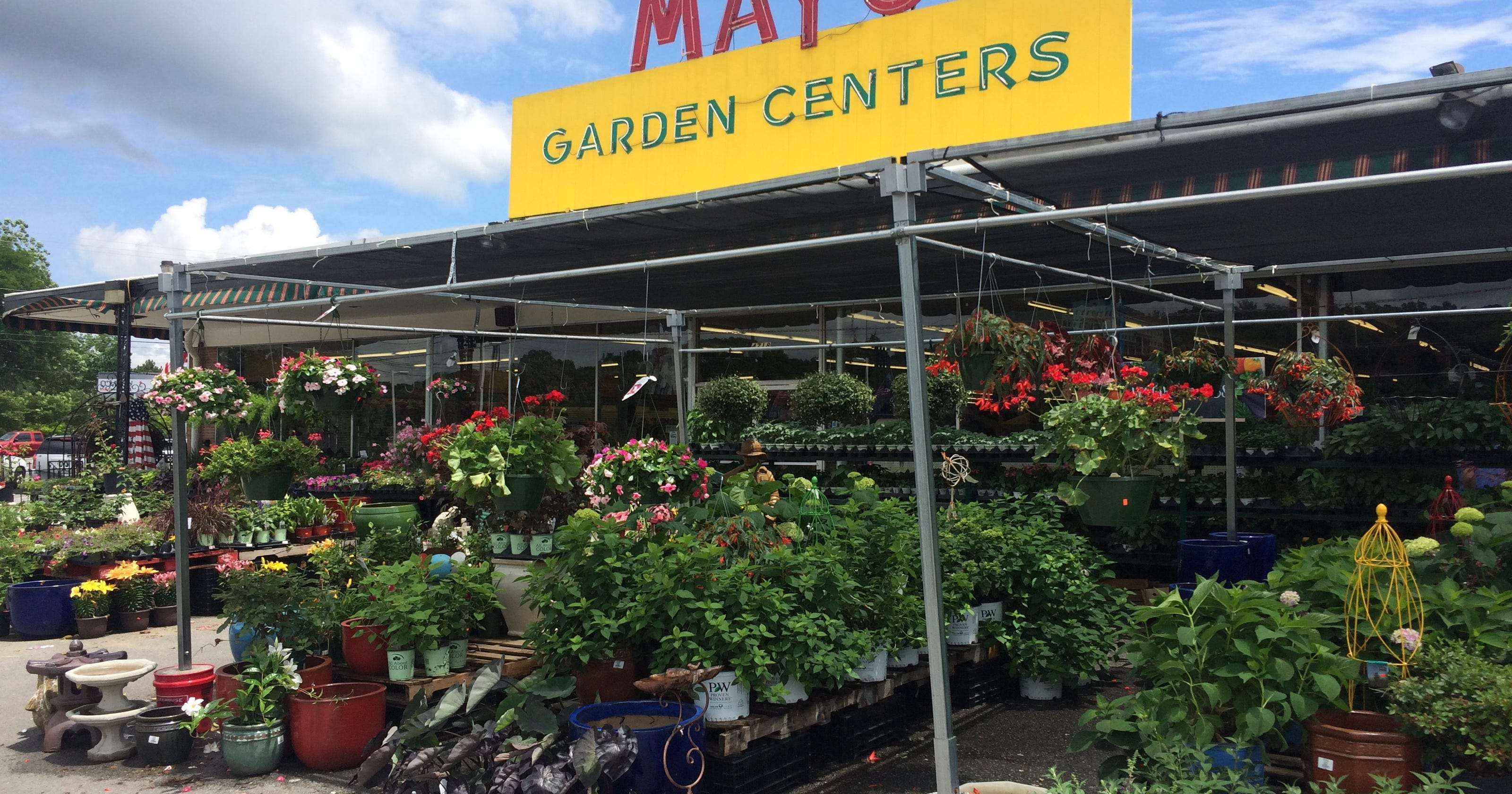 Mayo Garden Center Celebrating 140 Years As Oldest Business In