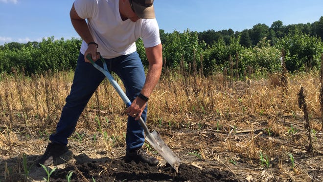 Jayme Arthurs, a resource conservationist with the U.S. Department of Agriculture Natural Resources Conservation Service in Delaware, plants a pair of tighty-whities as part of a soil health demonstration.