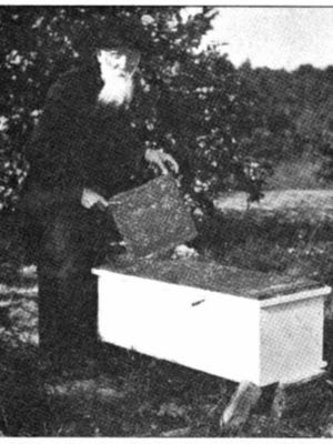 O.O. Poppleton in 1913, tending his bee hives in Stuart.