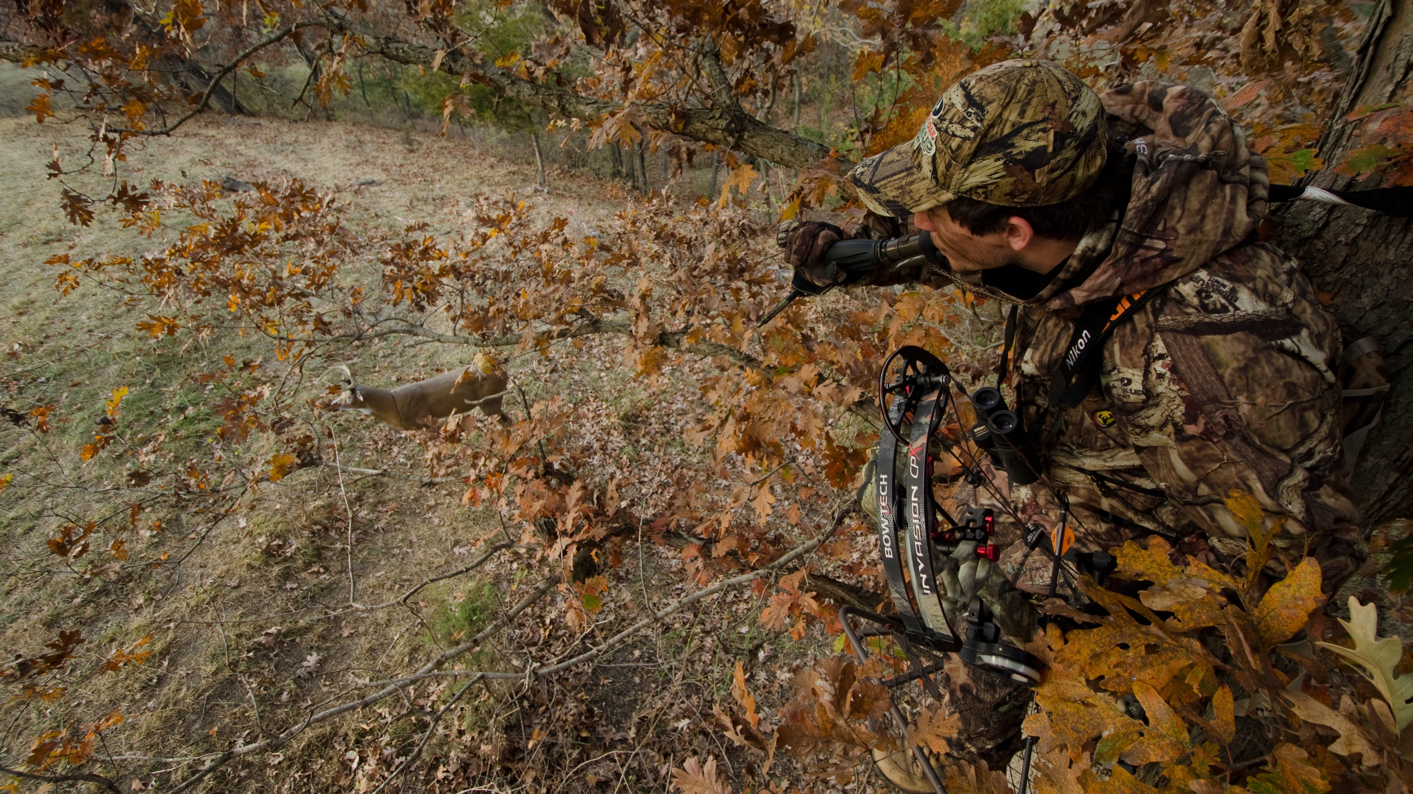 Darren Warner: The 7 deadly deer hunting mistakes
