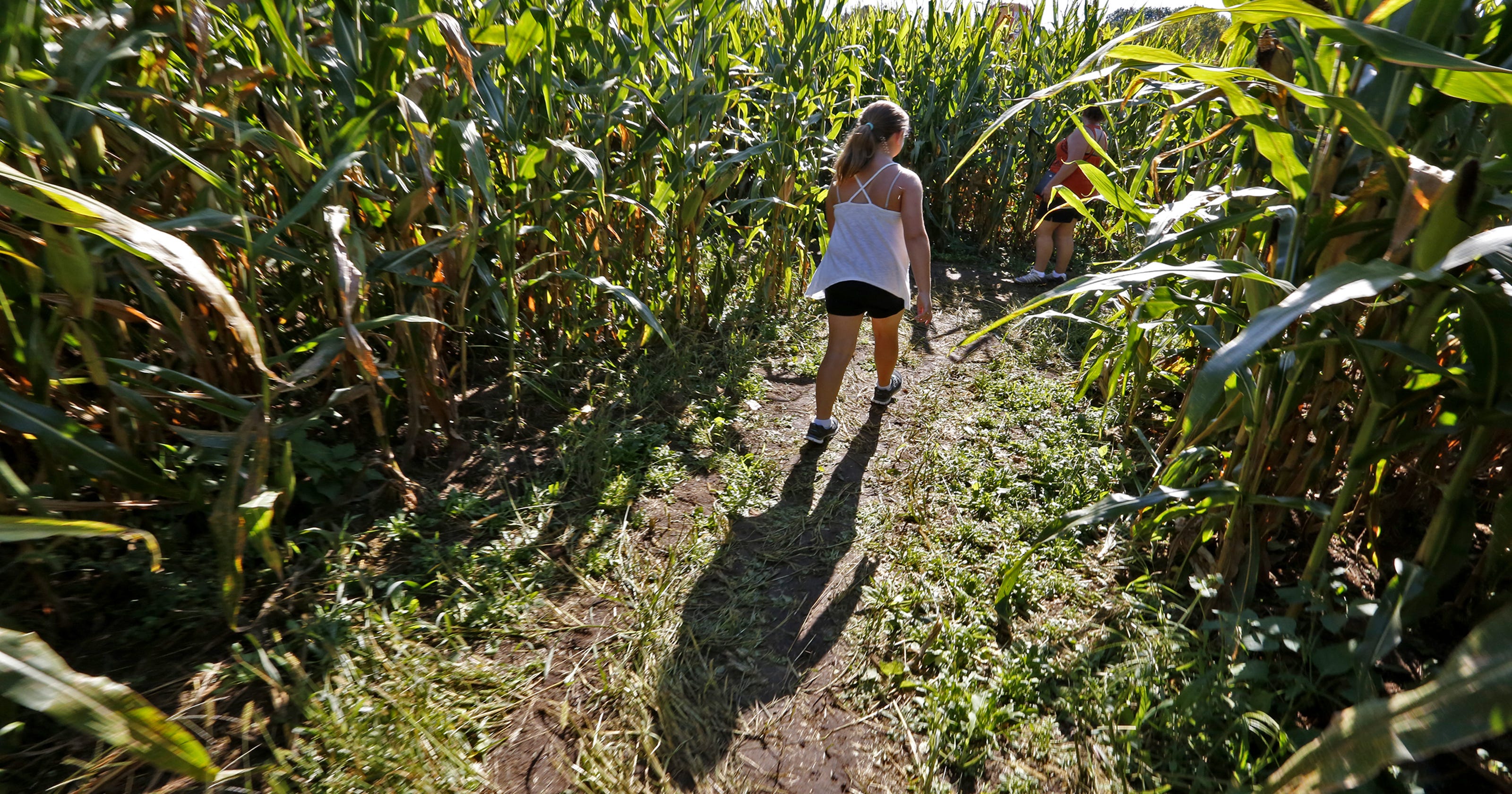 Things To Do In Indianapolis Best Fall Events Festivals