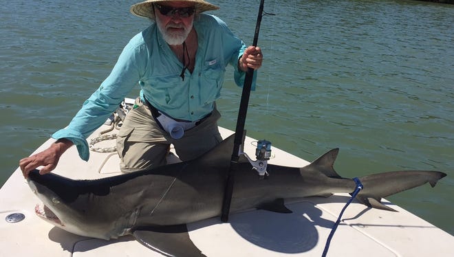 Wayne Hanson of Boyd, Minnesota, caught this 7-foot lemon shark off the coast of Marco Island. He used mullet for bait and it took 20 minutes to reel in the shark.