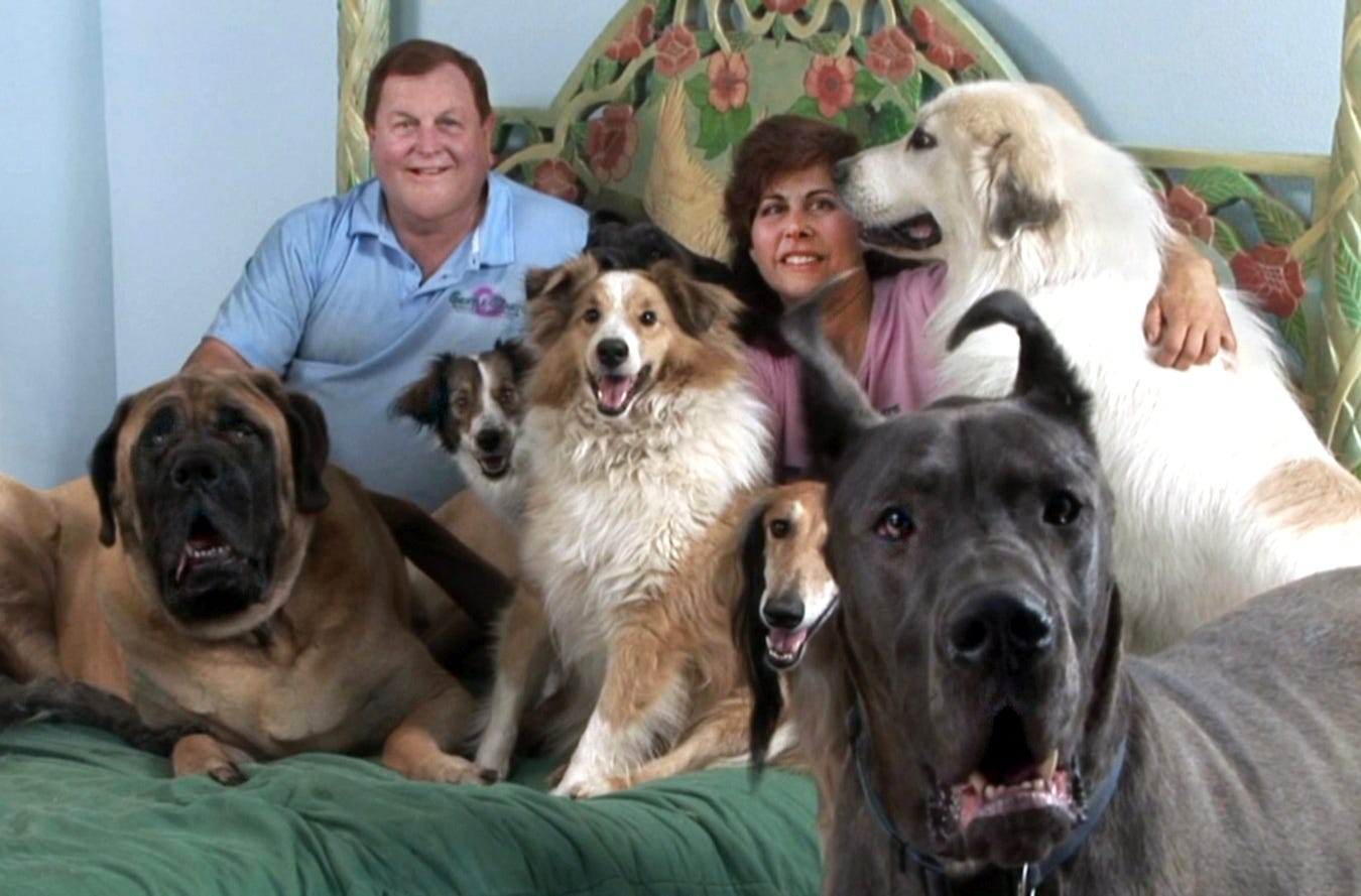 Dog food made sales by burt ward