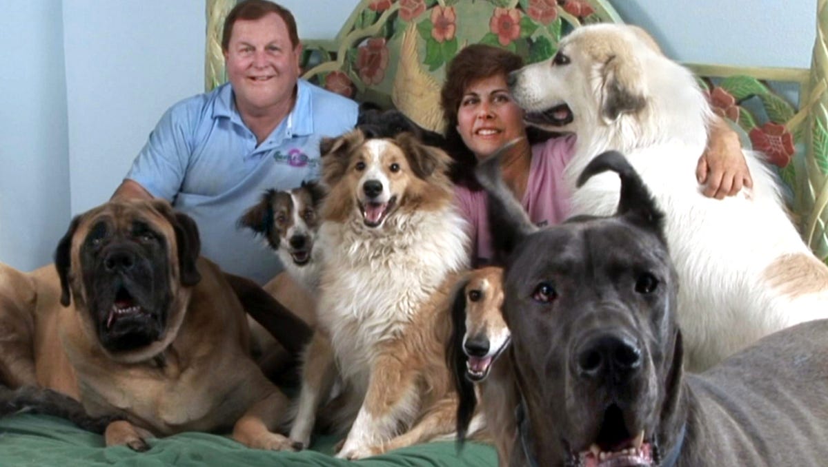 Burt Ward S Life With Dogs