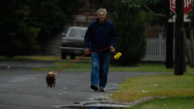 Ron Dahlke of Accomac takes his dog Laken for a walk on Cross Street the morning of Friday, July 4, 2014. Accomack County was hit with only light wind and rainfall as Hurricane Arthur swept across the Eastern Shore during the holiday.