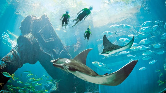 You can save on Atlantis Paradise Island getaway this Black Friday.
