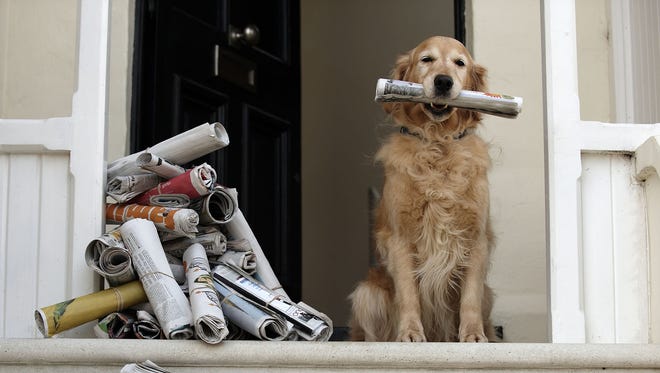Are you a news hound?