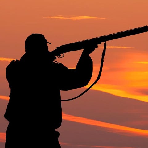 Illustration of a hunter