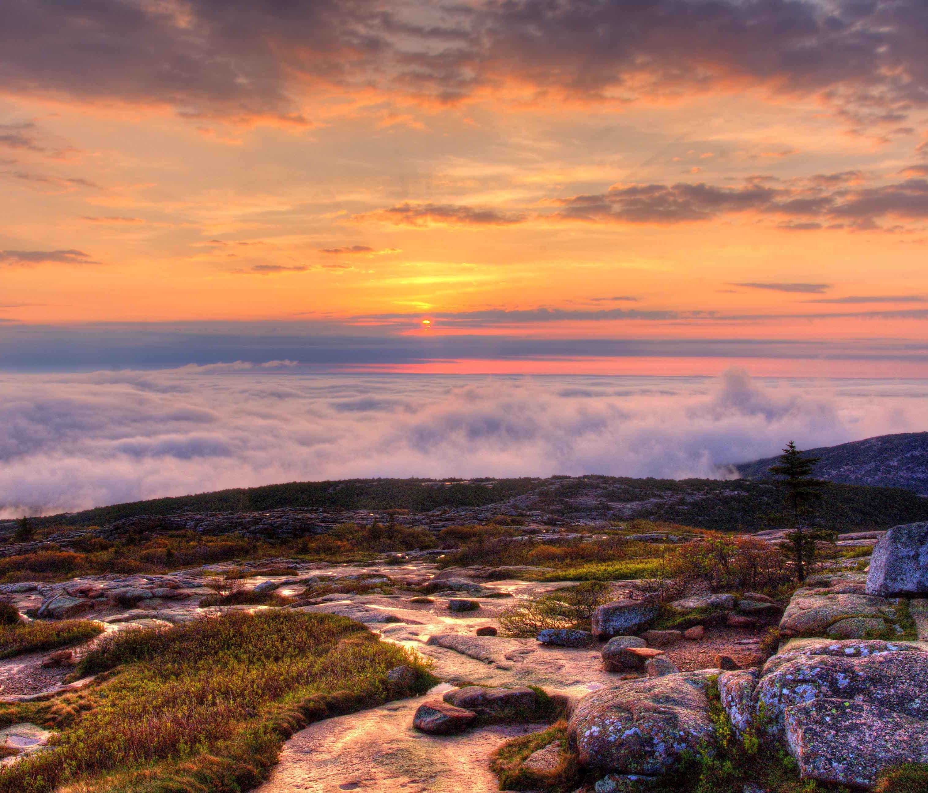 Pastel sunrise colors paint the sky over an ocean of clouds. Sunrises at Acadia National Park are the best!