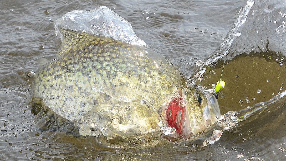 You can catch a record fish when this Mississippi state lake opens this month