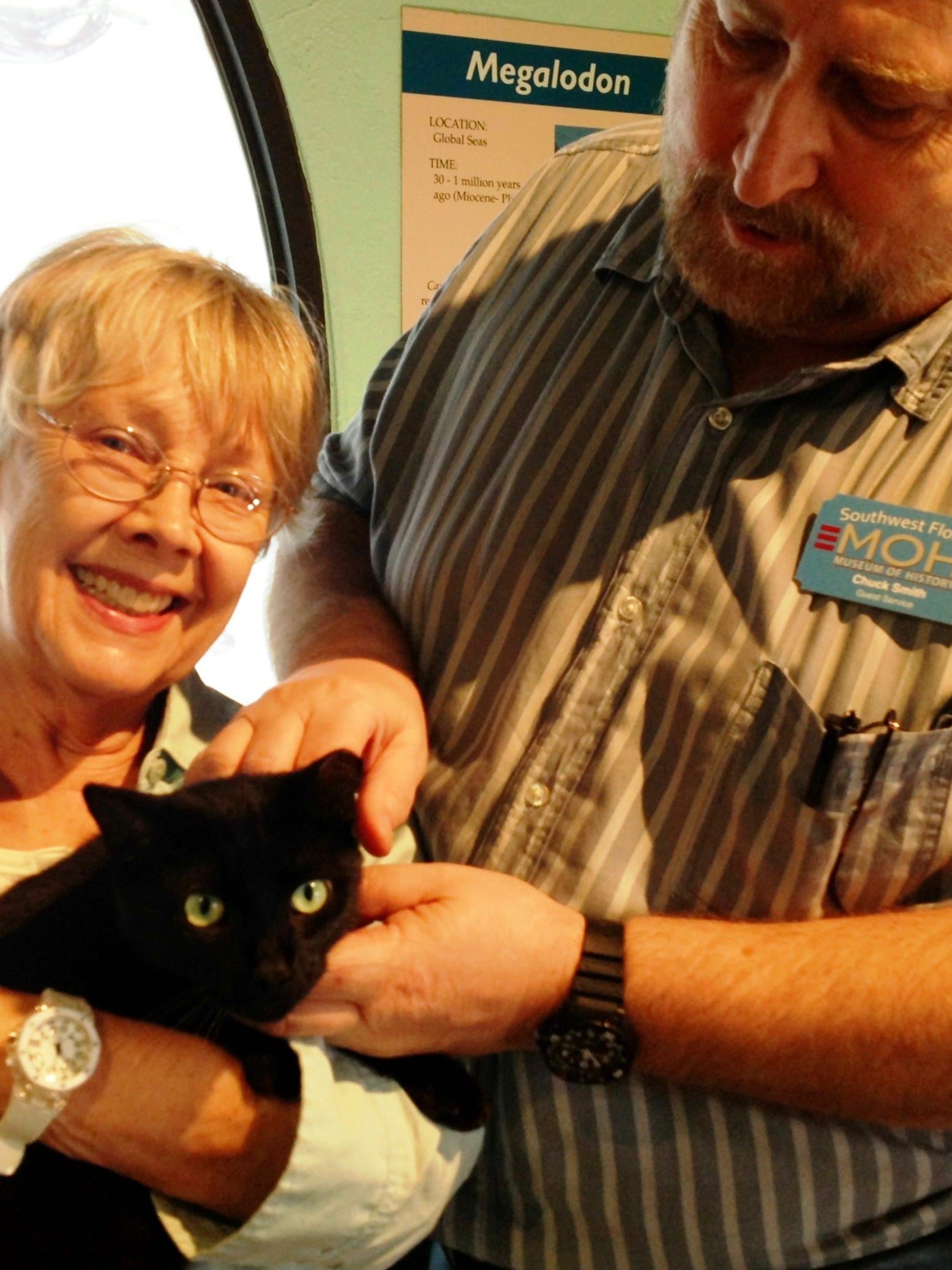 His Museum Is Gone Now Little Cat Bear Needs A New Home