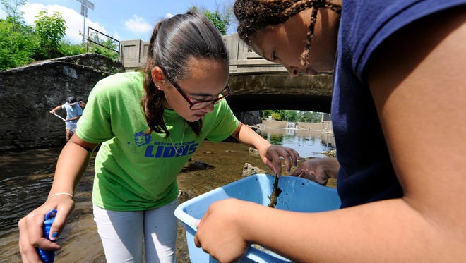 In this file photo, fifth-grade students from Devers K-8 school take part in an Audubon-sponsored event at Kiwanis Lake and Noonan Park, Friday, May 27, 2016. The students counted nesting wading birds, pulled invasive plants and did a stream study in Willis Run.
John A. Pavoncello photo