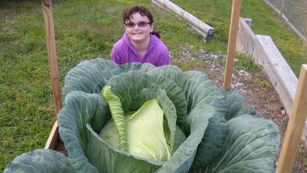 Riley Olbrantz of Wausau grew this 28-pound cabbage.