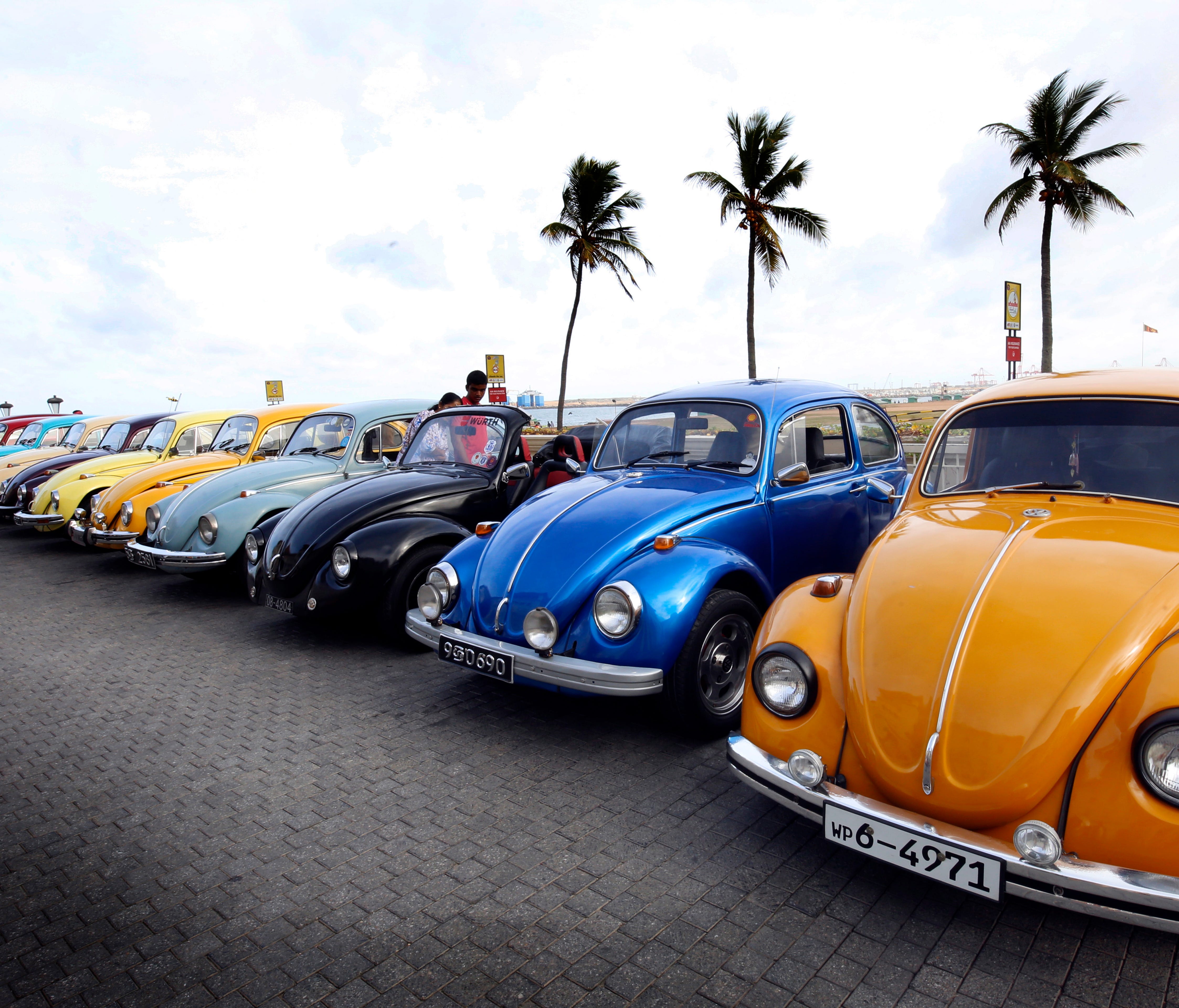 Classic and custom-built Volkswagen cars in Sri Lanka since the early 1950s gather in celebration of the World Volkswagen Day at Hotel Galle Face last week