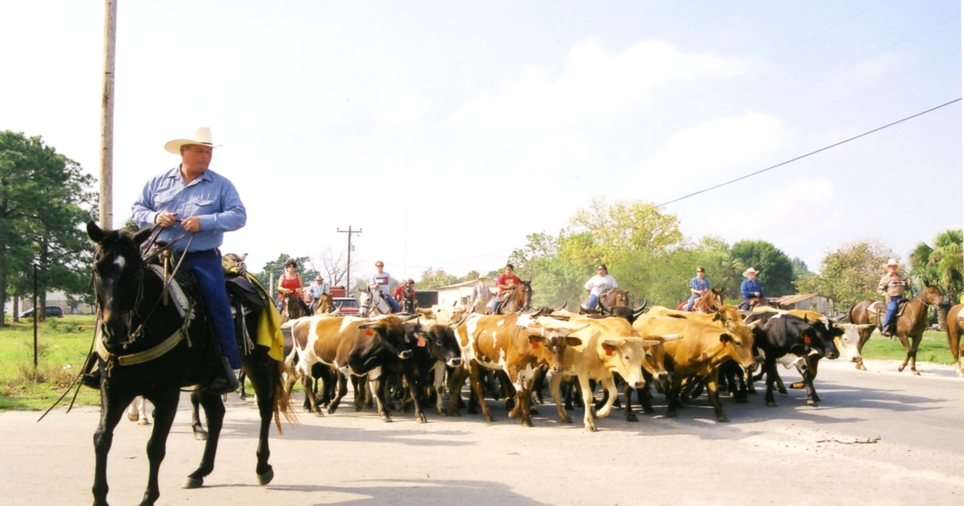 Immokalee plans oldfashioned cattle drive, celebration