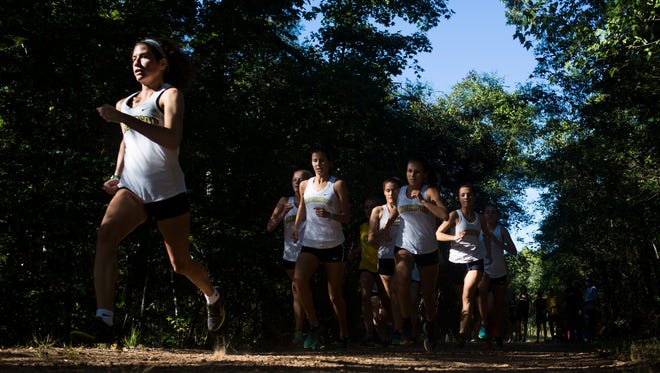 Anderson University's women's cross country team practices recently at Rocky River Nature Park in Anderson.