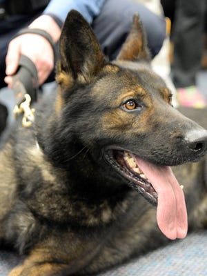 Vineland Police K-9 teams have a demonstration scheduled during National Night Out on Tuesday.